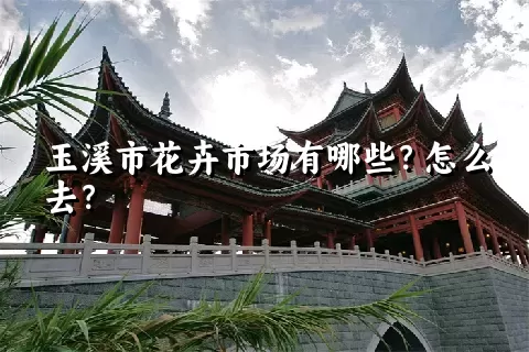 玉溪市花卉市场有哪些？怎么去？