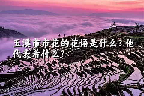 玉溪市市花的花语是什么？他代表着什么？