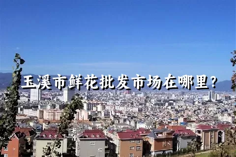 玉溪市鲜花批发市场在哪里？