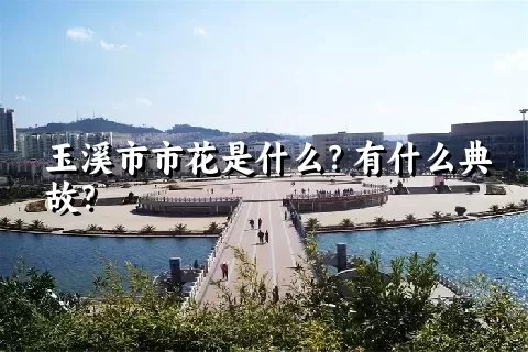 玉溪市市花是什么？有什么典故？