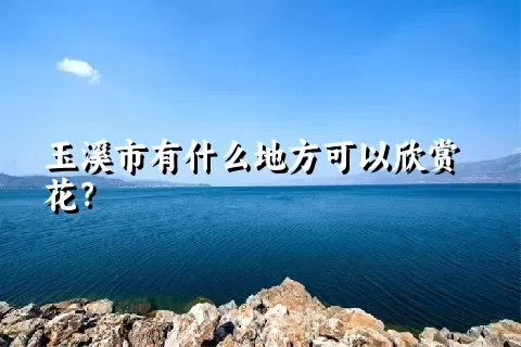 玉溪市有什么地方可以欣赏花？