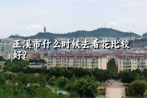 玉溪市什么时候去看花比较好？