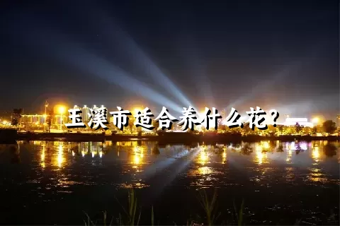 玉溪市适合养什么花？