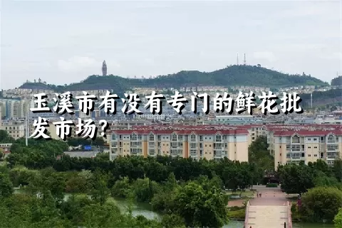 玉溪市有没有专门的鲜花批发市场？