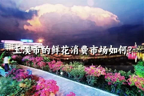 玉溪市的鲜花消费市场如何？