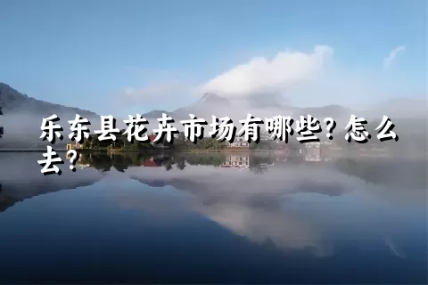 乐东县花卉市场有哪些？怎么去？