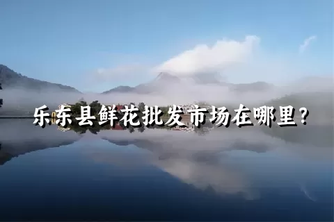 乐东县鲜花批发市场在哪里？