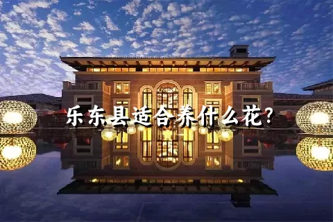 乐东县适合养什么花？