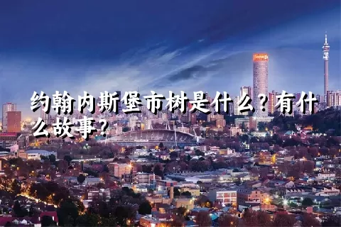 约翰内斯堡市树是什么？有什么故事？