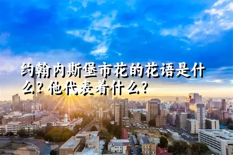 约翰内斯堡市花的花语是什么？他代表着什么？