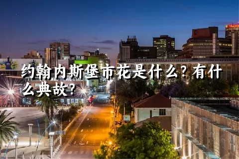 约翰内斯堡市花是什么？有什么典故？