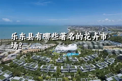 乐东县有哪些著名的花卉市场？