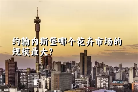 约翰内斯堡哪个花卉市场的规模最大？