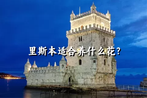 里斯本适合养什么花？