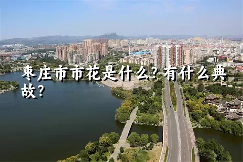 枣庄市市花是什么？有什么典故？