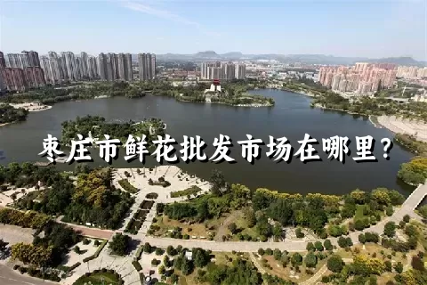 枣庄市鲜花批发市场在哪里？