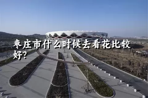 枣庄市什么时候去看花比较好？