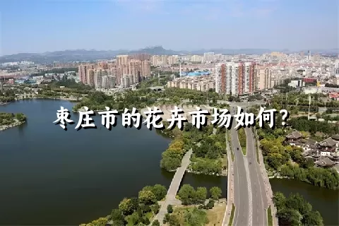 枣庄市的花卉市场如何？