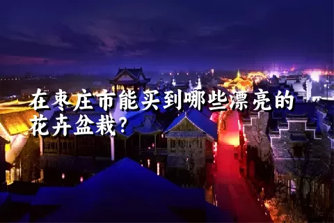 在枣庄市能买到哪些漂亮的花卉盆栽？