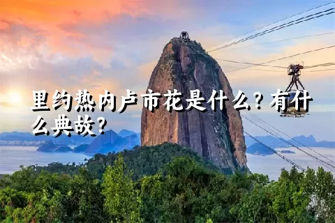 里约热内卢市花是什么？有什么典故？