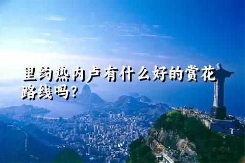 里约热内卢有什么好的赏花路线吗？