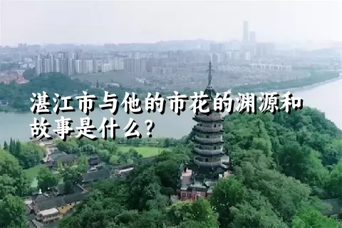 湛江市与他的市花的渊源和故事是什么？