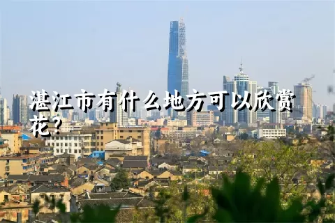 湛江市有什么地方可以欣赏花？