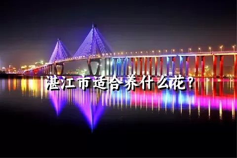 湛江市适合养什么花？