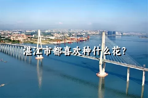 湛江市都喜欢种什么花？