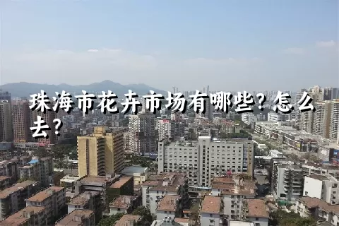 珠海市花卉市场有哪些？怎么去？