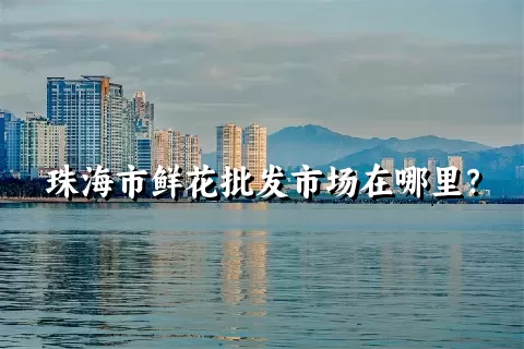 珠海市鲜花批发市场在哪里？