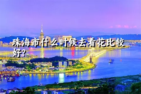 珠海市什么时候去看花比较好？