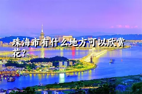 珠海市有什么地方可以欣赏花？