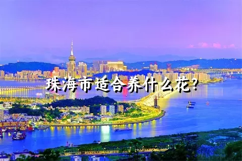 珠海市适合养什么花？