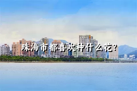 珠海市都喜欢种什么花？