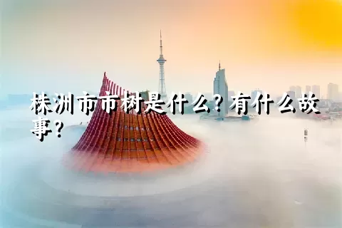 株洲市市树是什么？有什么故事？