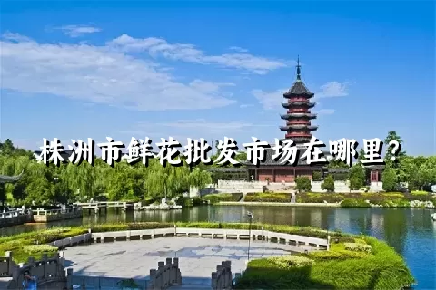 株洲市鲜花批发市场在哪里？