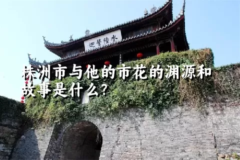 株洲市与他的市花的渊源和故事是什么？