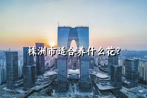 株洲市适合养什么花？