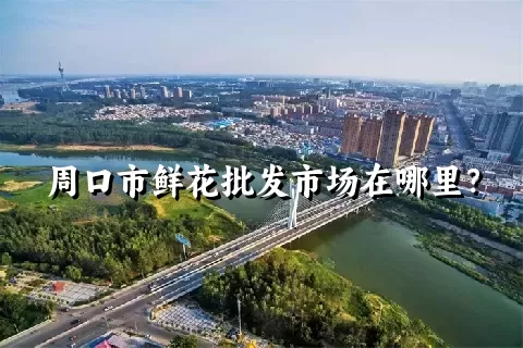 周口市鲜花批发市场在哪里？