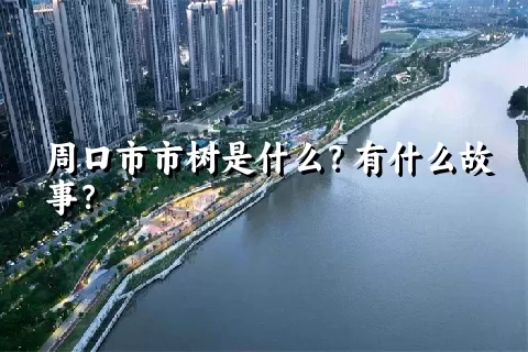 周口市市树是什么？有什么故事？