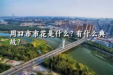 周口市市花是什么？有什么典故？