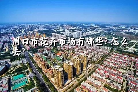 周口市花卉市场有哪些？怎么去？