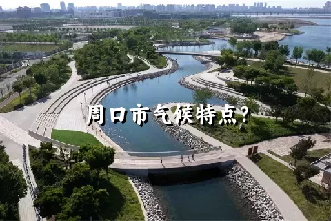 周口市气候特点？