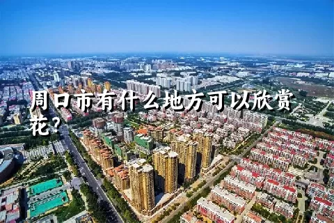 周口市有什么地方可以欣赏花？