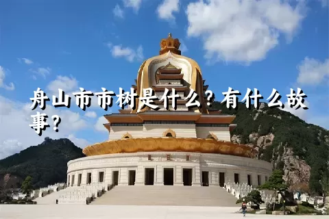 舟山市市树是什么？有什么故事？