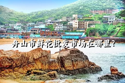 舟山市鲜花批发市场在哪里？