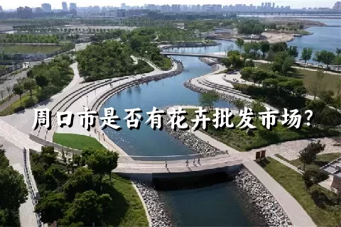 周口市是否有花卉批发市场？