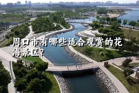 周口市有哪些适合观赏的花海景区？