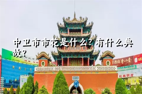 中卫市市花是什么？有什么典故？